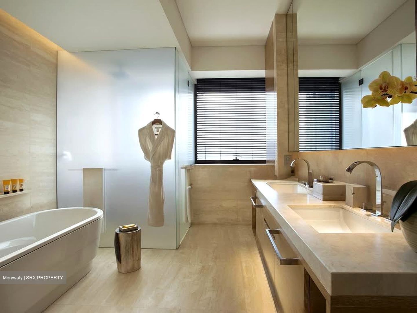 Hana (D10), Condominium #582534921